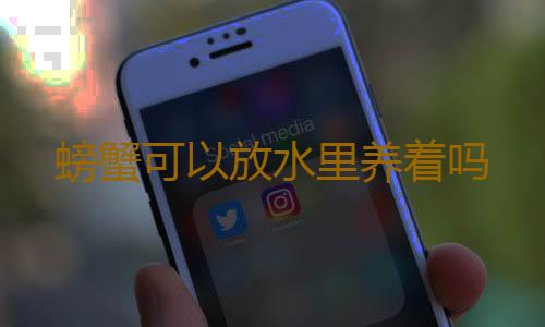 螃蟹可以放水里养着吗